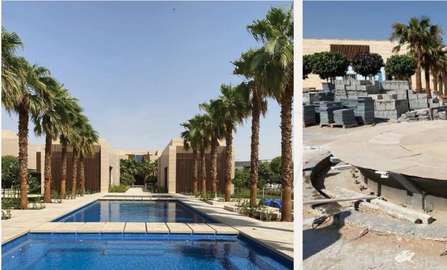 Palm-lined pool walkway